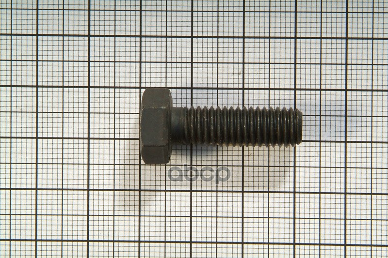 Болт М 8*25 Шаровой /2101/ Гол, Вентилят., Бампера /2115/ (Уп.10 Шт) БелЗАН арт. 000010060436308