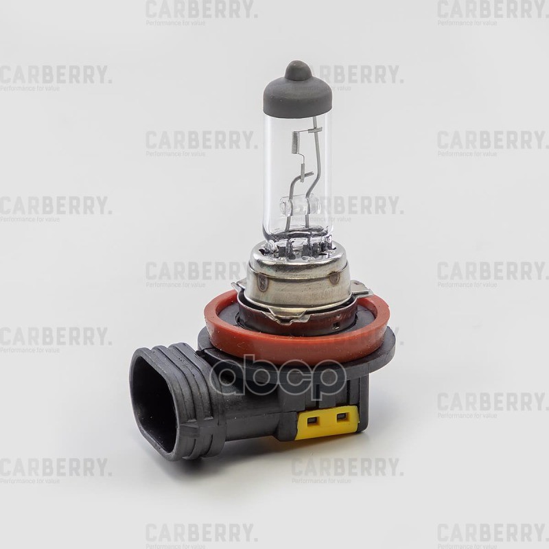 Лампа H8 12V (35W) Day&Night H8 (35W) 12V PGJ19-1 31CA8 CARBERRY арт. 31CA8