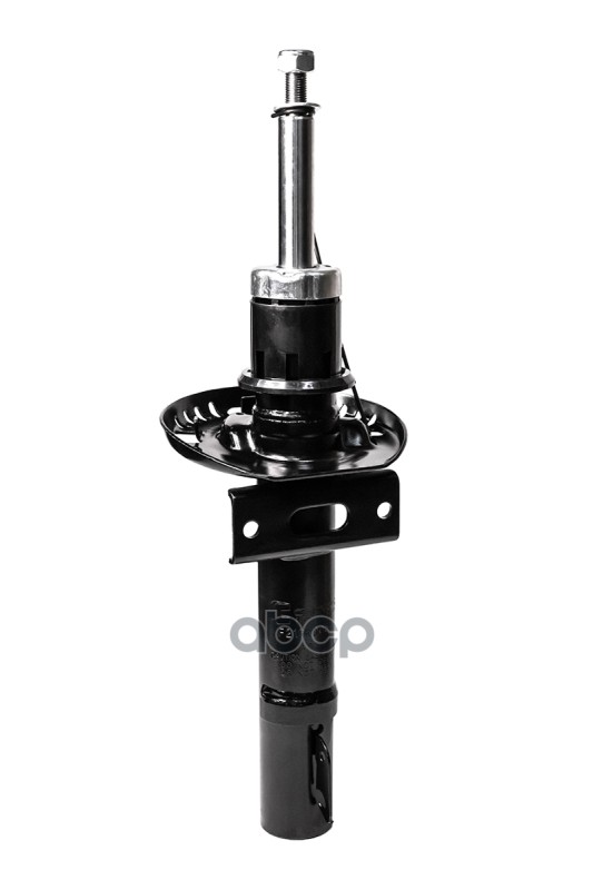 Амортизатор передний, GAS F21GR0054 CWORKS арт. F21GR0054