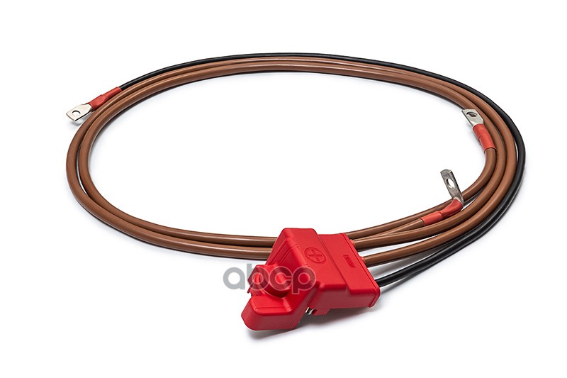 Провод АКБ (+) Renault Duster 2.0 4WD МКПП (240118238R) на стартер, генератор, блок предохр. на акб 22003 CARGEN арт. 22003