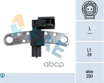 Датчик фазы двигателя FAE арт. 79028
