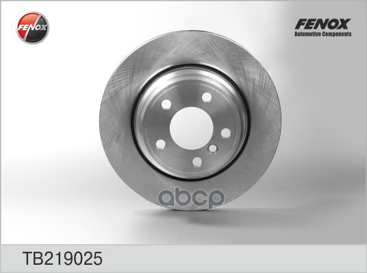 Диск тормозной BMW X5 00 - FENOX арт. TB219025