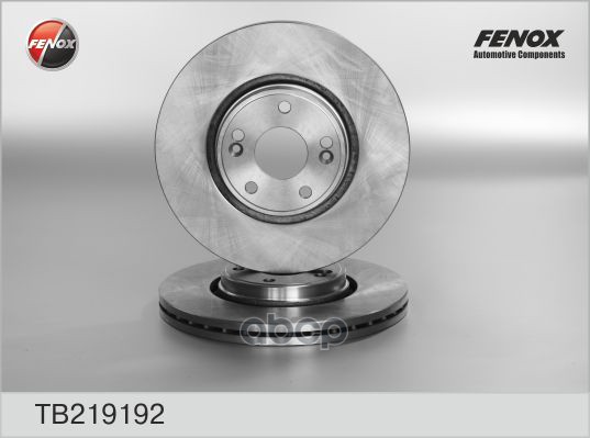 Диск торм.Renault Laguna II FENOX арт. tb219192