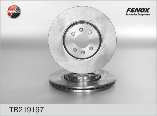 Диск торм.Renault Megane Scenic FENOX арт. tb219197