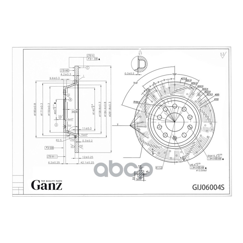 Диск Тормозной Задний Перфорированный Pro-Line С Покрытием (Компл.2 Шт) Vag Audi/Seat/Skoda/Vw Ganz Gij06004s GANZ арт. GIJ06...