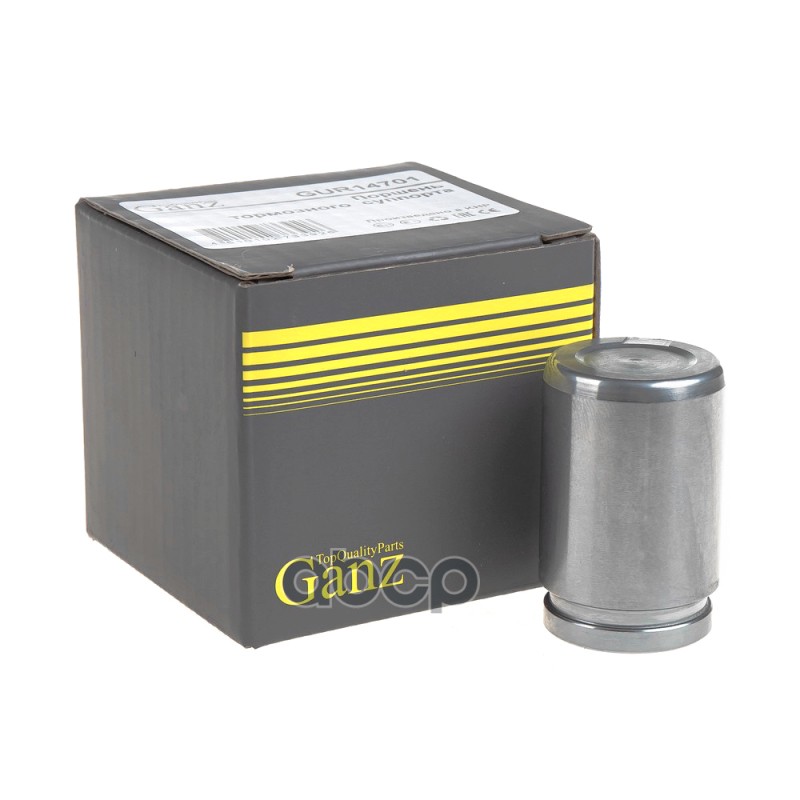 Поршень заднего тормозного суппорта HYUNDAI Accent 05-10/KIA Rio II 05-10 /D=31,00mm GANZ GUR14701 GANZ арт. GUR14701