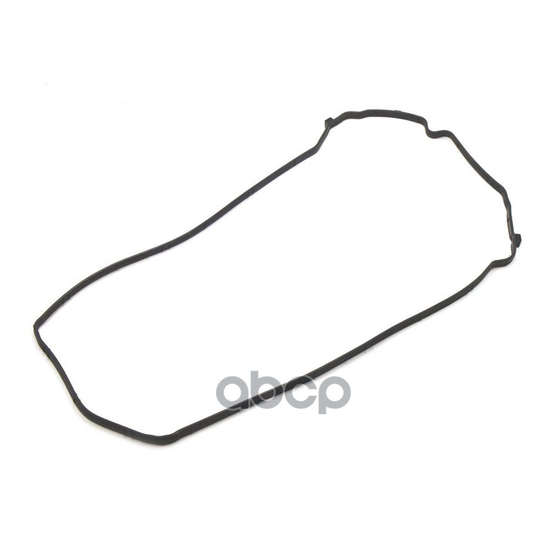 Прокладка клапанной крышки HAVAL 1003501AEG01T HAVAL арт. 1003501AEG01T