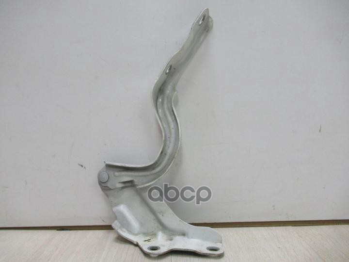 Петля капота HYUNDAI/KIA 79110-H5000 Hyundai-KIA арт. 79110-H5000