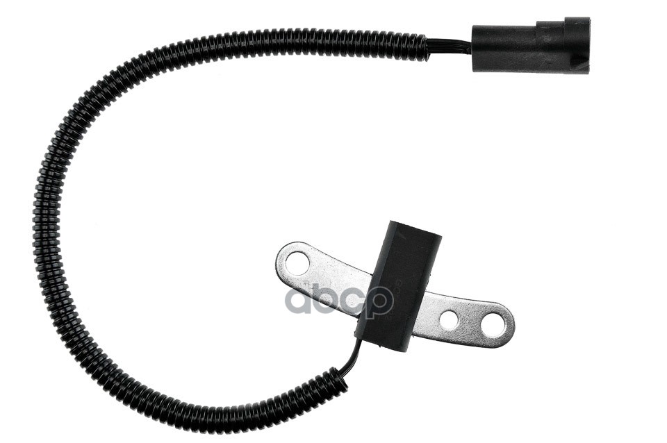 Датчик Положения Коленвала Nty Ecpch022 NTY арт. ECPCH022