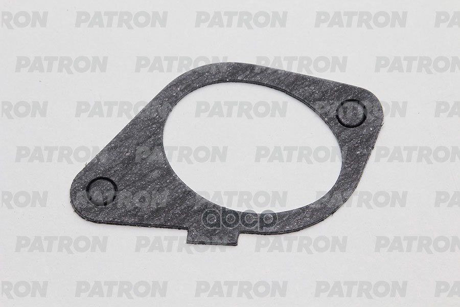 Прокладка Впускного Коллектора Citroen Xsara 1.9D 98> In (2) PATRON арт. PG5-1169