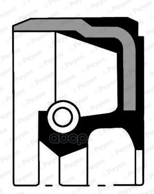 Сальник Коленвала Передний Payen Na5174 Payen арт. NA5174