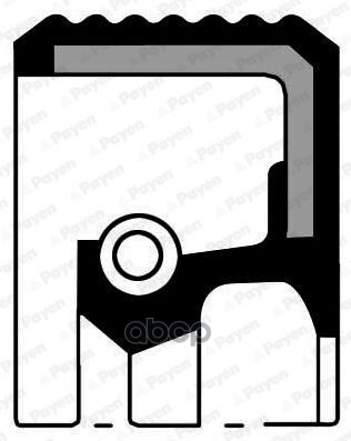 Сальник Коленвала Передний Toyota /38X50x8mm Payen Na5260 Payen арт. NA5260
