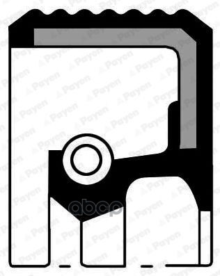 Сальник Коленвала Rr Gm  Zafira B/Astra H/J/Vectra A/C  F18d4/Z18xer Payen арт. NA5350