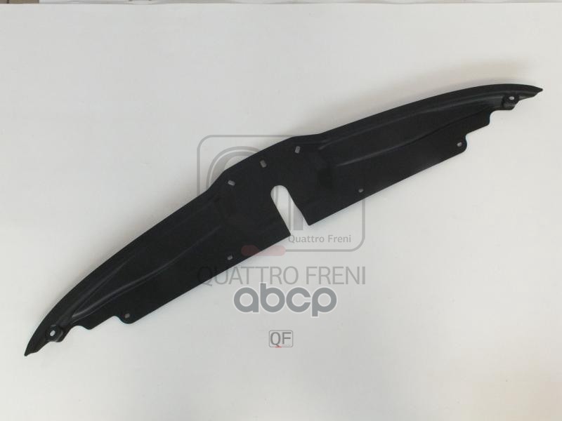 Кожух замка капота QUATTRO FRENI арт. qf03g00031