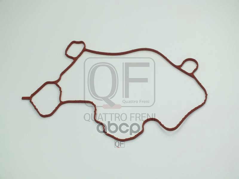 Прокладка маслоотделителя QUATTRO FRENI арт. qf54a00144