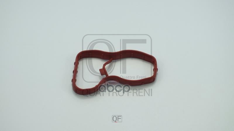 Прокладка впускного коллектора QUATTRO FRENI арт. qf76a00053