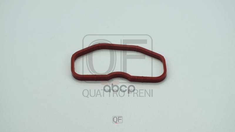 Прокладка впускного коллектора QUATTRO FRENI арт. qf76a00073