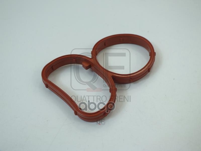 Прокладка впускного коллектора QUATTRO FRENI арт. qf76a00105