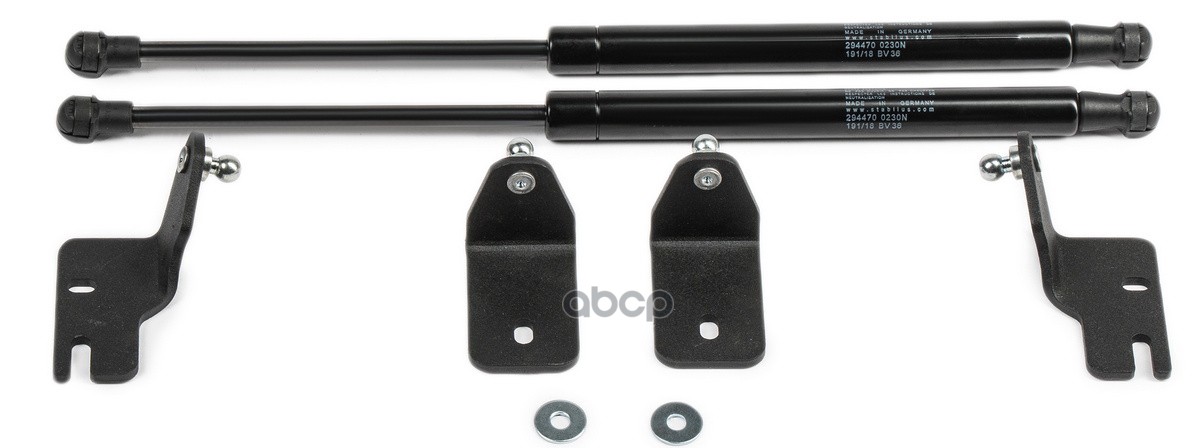 Амортизаторы Капота Рено Каптур 2016-/Каптюр Экстрим 2016-2017- Rival арт. AST47041