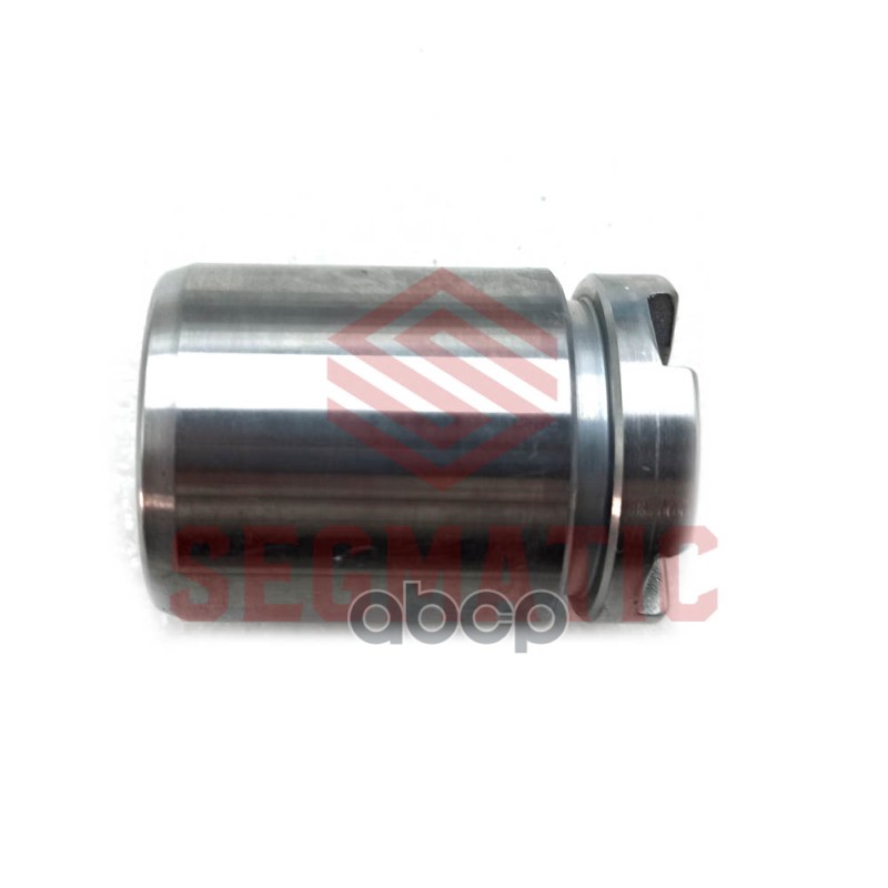 Поршень Суппорта Honda Civic Viii Series / Accord Vi Series (03-97->12-03) / Suzuki Sx4  06 Segmatic Sg500029 SEGMATIC арт. S...