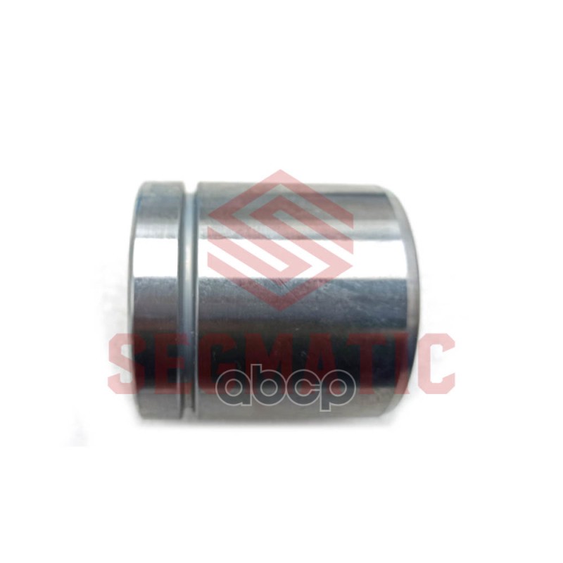 Поршень Суппорта Vag Tt/Passat/Golf 06- Segmatic Sg500059 SEGMATIC арт. SG500059