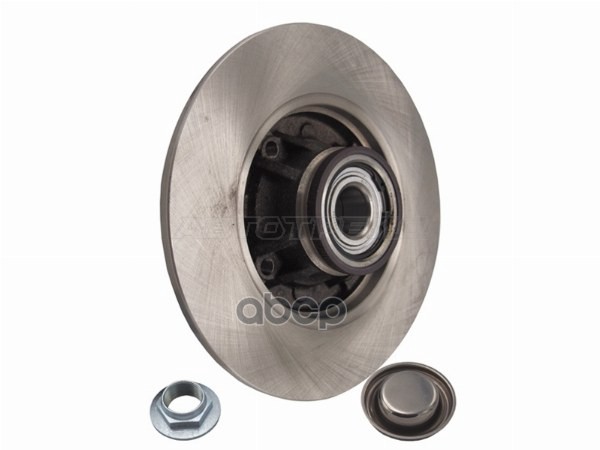 Диск тормозной (Сзади) Citroen C4 04- / Peugeot 308 07-19 Sat арт. ST-25-0010