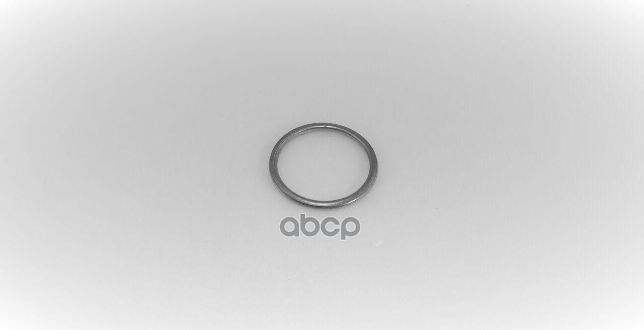 K6-165 Прокладка WESO арт. K6165