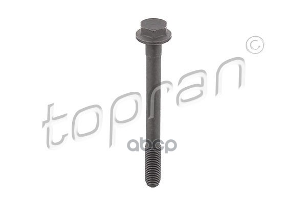 Болт Рычага Подвески (Замена Для Hp-109779015) topran арт. 109779001