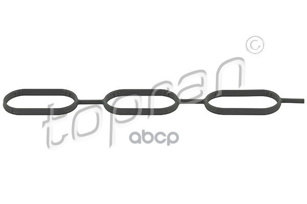 Прокладка Впускного Коллектора (Замена Для Hp-111923755) topran арт. 111923001