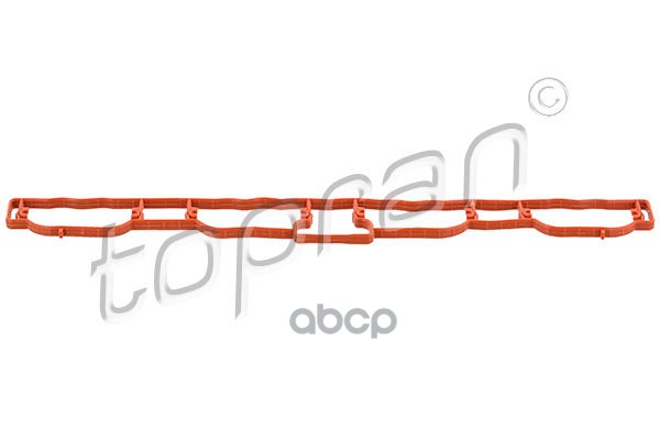 Прокладка Впускного Коллектора (Замена Для Hp-113160755) topran арт. 113160001