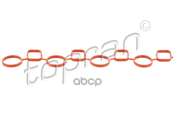 Прокладка Впускного Коллектора (Замена Для Hp-113887755) topran арт. 113887001