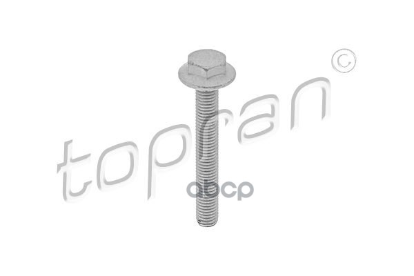 Болт Крепления Подрамника (Замена Для Hp-115806545) topran арт. 115806001