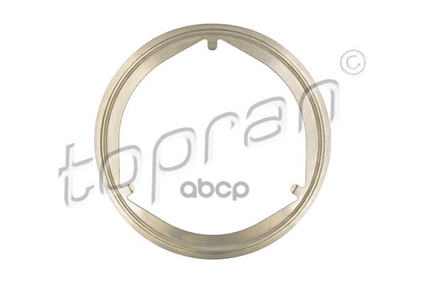 Прокладка Выпускной Трубы Глушителя (Замена Для Hp-116843685) topran арт. 116843001