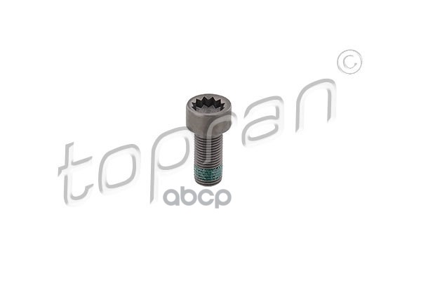Болт Крепления Маховика (Замена Для Hp-117243545) topran арт. 117243001