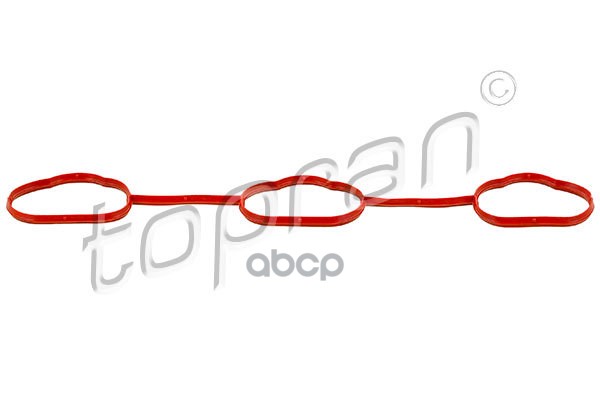 Прокладка Впускного Коллектора (Замена Для Hp-206597755) topran арт. 206597001