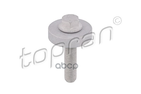 Болт Крепления Шкива Коленвала (Замена Для Hp-701418015) topran арт. 701418001